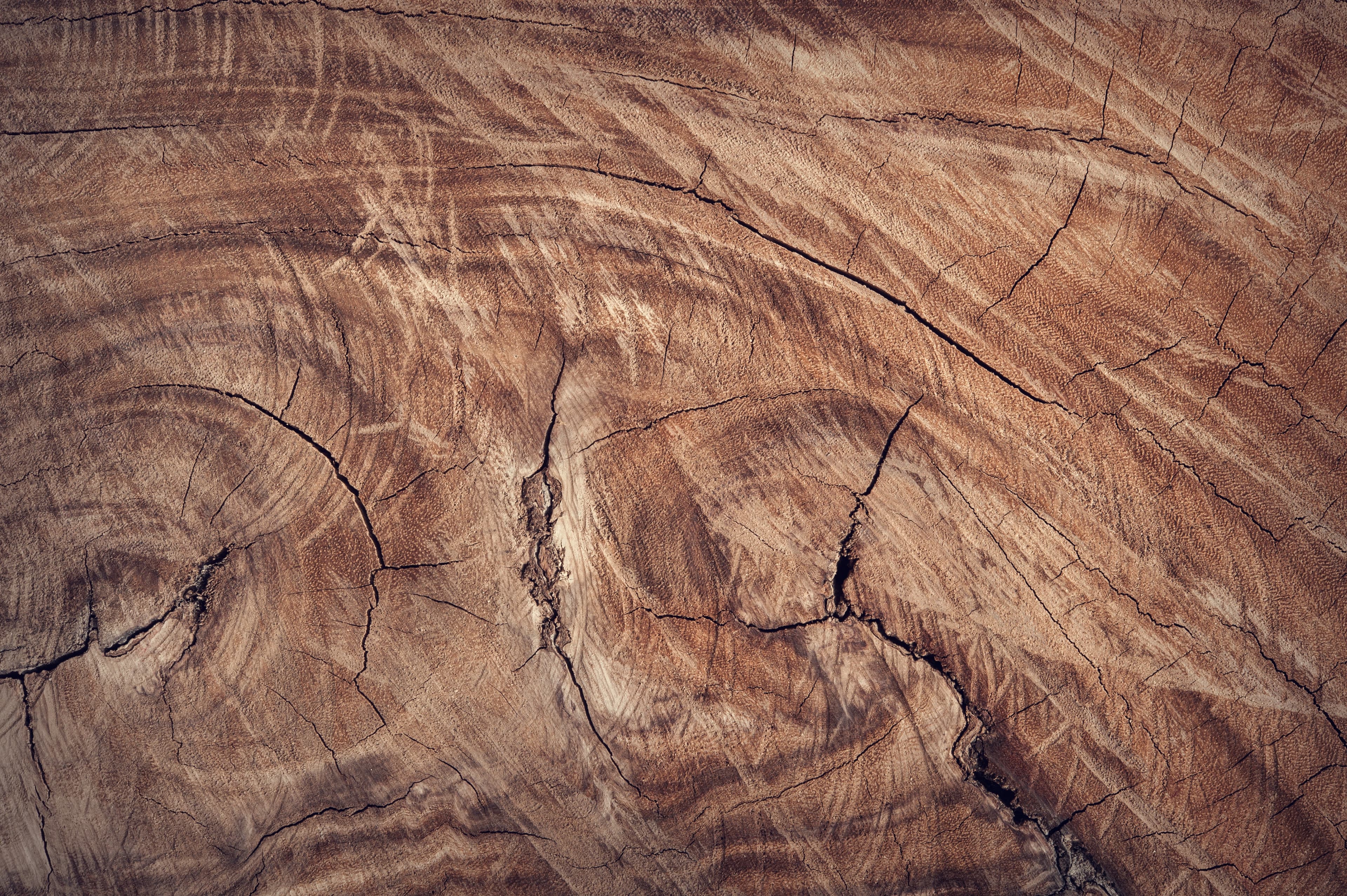 Wood background